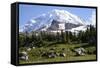 Mount Rainier National Park, Wa. Spray Park-Matt Freedman-Framed Stretched Canvas