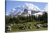 Mount Rainier National Park, Wa. Spray Park-Matt Freedman-Stretched Canvas