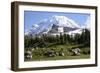 Mount Rainier National Park, Wa. Spray Park-Matt Freedman-Framed Photographic Print