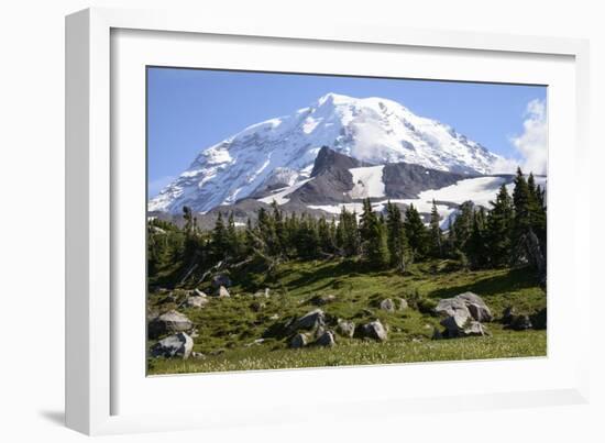 Mount Rainier National Park, Wa. Spray Park-Matt Freedman-Framed Photographic Print