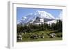 Mount Rainier National Park, Wa. Spray Park-Matt Freedman-Framed Photographic Print