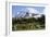 Mount Rainier National Park, Wa. Spray Park-Matt Freedman-Framed Photographic Print