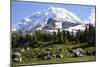 Mount Rainier National Park, Wa. Spray Park-Matt Freedman-Mounted Photographic Print