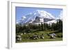 Mount Rainier National Park, Wa. Spray Park-Matt Freedman-Framed Photographic Print