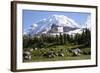 Mount Rainier National Park, Wa. Spray Park-Matt Freedman-Framed Photographic Print