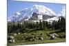 Mount Rainier National Park, Wa. Spray Park-Matt Freedman-Mounted Photographic Print