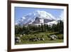 Mount Rainier National Park, Wa. Spray Park-Matt Freedman-Framed Photographic Print