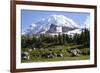Mount Rainier National Park, Wa. Spray Park-Matt Freedman-Framed Photographic Print