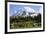 Mount Rainier National Park, Wa. Spray Park-Matt Freedman-Framed Photographic Print