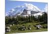 Mount Rainier National Park, Wa. Spray Park-Matt Freedman-Mounted Photographic Print