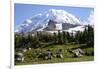 Mount Rainier National Park, Wa. Spray Park-Matt Freedman-Framed Photographic Print