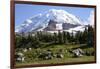 Mount Rainier National Park, Wa. Spray Park-Matt Freedman-Framed Photographic Print