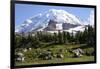 Mount Rainier National Park, Wa. Spray Park-Matt Freedman-Framed Photographic Print