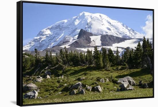 Mount Rainier National Park, Wa. Spray Park-Matt Freedman-Framed Stretched Canvas