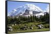 Mount Rainier National Park, Wa. Spray Park-Matt Freedman-Framed Stretched Canvas