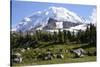 Mount Rainier National Park, Wa. Spray Park-Matt Freedman-Stretched Canvas