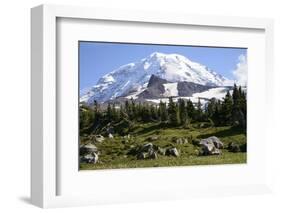 Mount Rainier National Park, Wa. Spray Park-Matt Freedman-Framed Photographic Print