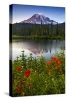 Mount Rainier National Park, Washington: Sunset At Reflection Lakes With Mount Rainier In The Bkgd-Ian Shive-Stretched Canvas