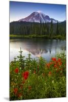 Mount Rainier National Park, Washington: Sunset At Reflection Lakes With Mount Rainier In The Bkgd-Ian Shive-Mounted Premium Photographic Print