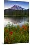 Mount Rainier National Park, Washington: Sunset At Reflection Lakes With Mount Rainier In The Bkgd-Ian Shive-Mounted Premium Photographic Print