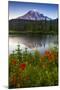 Mount Rainier National Park, Washington: Sunset At Reflection Lakes With Mount Rainier In The Bkgd-Ian Shive-Mounted Photographic Print