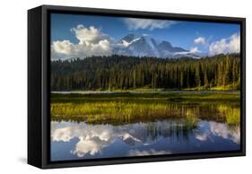 Mount Rainier National Park, Washington: Sunset At Reflection Lakes With Mount Rainier In The Bkgd-Ian Shive-Framed Stretched Canvas