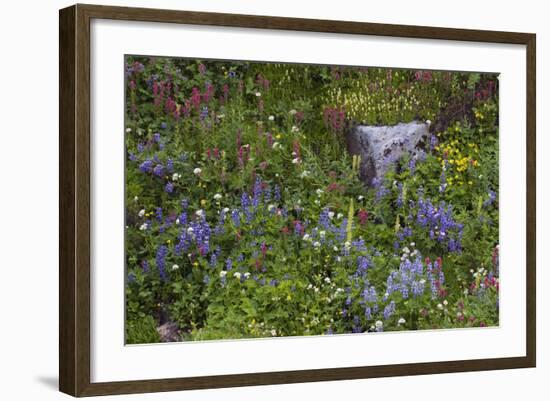 Mount Rainier National Park, Wildflowers-Ken Archer-Framed Photographic Print