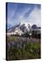 Mount Rainier National Park, Wildflowers-Ken Archer-Stretched Canvas