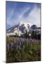 Mount Rainier National Park, Wildflowers-Ken Archer-Mounted Photographic Print