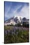 Mount Rainier National Park, Wildflowers-Ken Archer-Stretched Canvas