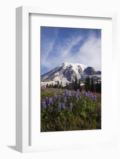 Mount Rainier National Park, Wildflowers-Ken Archer-Framed Photographic Print