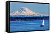 Mount Rainier Puget Sound North Seattle Snow Mountain Sailboats, Washington State-William Perry-Framed Stretched Canvas