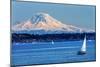 Mount Rainier Puget Sound North Seattle Snow Mountain Sailboats, Washington State-William Perry-Mounted Photographic Print