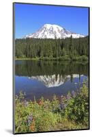 Mount Rainier Reflected in a Lake, Washington State, USA-Mark Taylor-Mounted Photographic Print