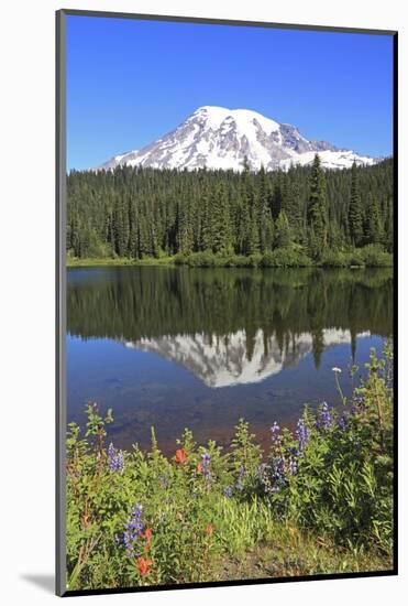Mount Rainier Reflected in a Lake, Washington State, USA-Mark Taylor-Mounted Photographic Print