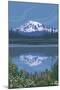 Mount Rainier - Reflection Lake - Image Only-Lantern Press-Mounted Art Print