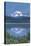 Mount Rainier - Reflection Lake - Image Only-Lantern Press-Stretched Canvas
