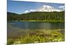 Mount Rainier, Reflection Lakes, Mount Rainier National Park, Washington State, USA-Michel Hersen-Mounted Premium Photographic Print