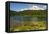 Mount Rainier, Reflection Lakes, Mount Rainier National Park, Washington State, USA-Michel Hersen-Framed Stretched Canvas