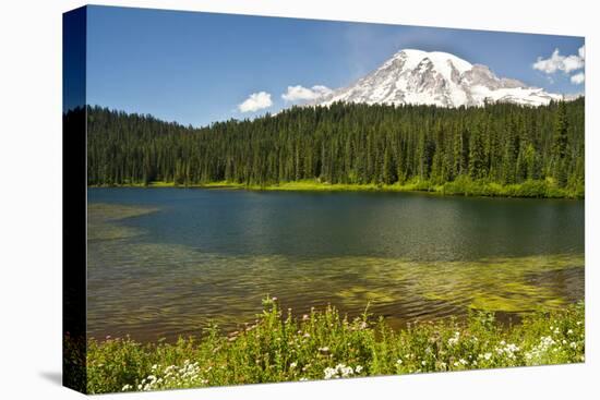 Mount Rainier, Reflection Lakes, Mount Rainier National Park, Washington State, USA-Michel Hersen-Stretched Canvas