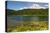 Mount Rainier, Reflection Lakes, Mount Rainier National Park, Washington State, USA-Michel Hersen-Stretched Canvas