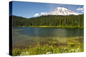 Mount Rainier, Reflection Lakes, Mount Rainier National Park, Washington State, USA-Michel Hersen-Stretched Canvas