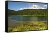 Mount Rainier, Reflection Lakes, Mount Rainier National Park, Washington State, USA-Michel Hersen-Framed Stretched Canvas