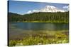 Mount Rainier, Reflection Lakes, Mount Rainier National Park, Washington State, USA-Michel Hersen-Stretched Canvas