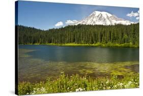 Mount Rainier, Reflection Lakes, Mount Rainier National Park, Washington State, USA-Michel Hersen-Stretched Canvas