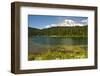 Mount Rainier, Reflection Lakes, Mount Rainier National Park, Washington State, USA-Michel Hersen-Framed Photographic Print