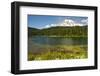 Mount Rainier, Reflection Lakes, Mount Rainier National Park, Washington State, USA-Michel Hersen-Framed Photographic Print