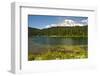 Mount Rainier, Reflection Lakes, Mount Rainier National Park, Washington State, USA-Michel Hersen-Framed Photographic Print