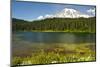 Mount Rainier, Reflection Lakes, Mount Rainier National Park, Washington State, USA-Michel Hersen-Mounted Photographic Print