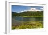 Mount Rainier, Reflection Lakes, Mount Rainier National Park, Washington State, USA-Michel Hersen-Framed Photographic Print